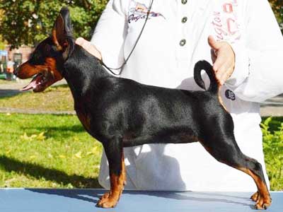 Valtera`s Roberta